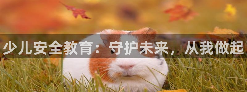 cq9电子修改