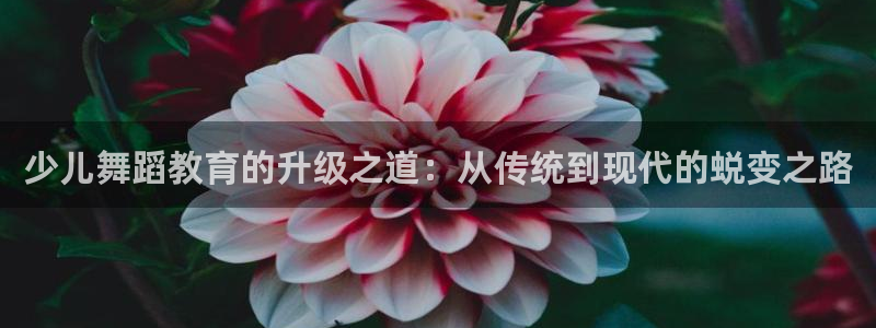 cq9电子跳高高