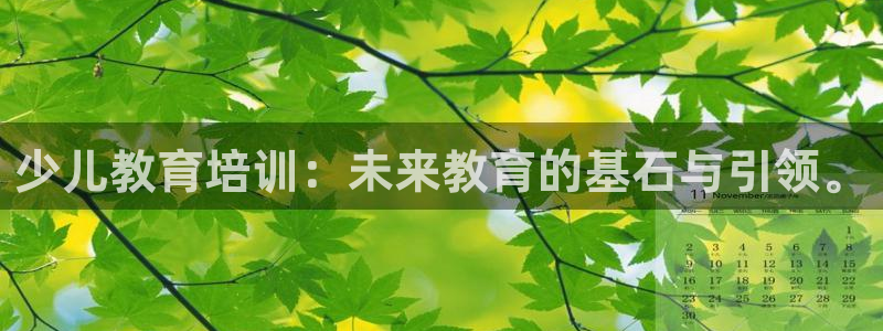 cq9电子赌城之夜