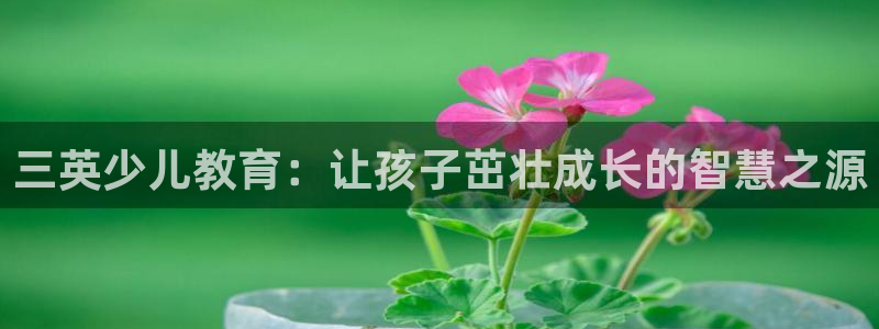 cq9传奇电子官方