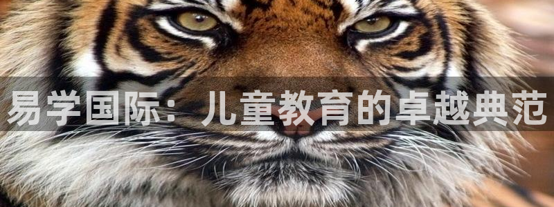 电子cq9爆大奖视频