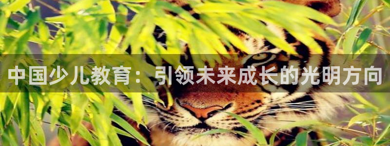 cq9电子有没有控制