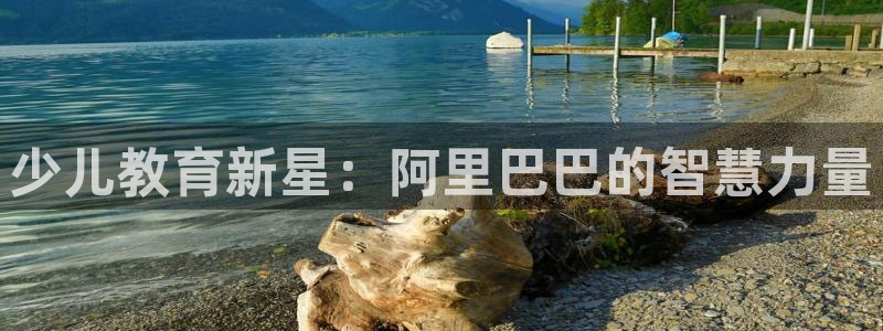 cq9网站电子