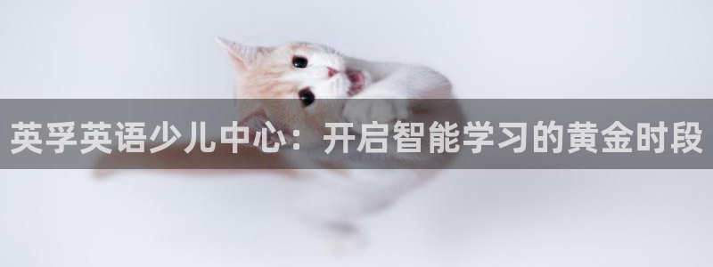 电子cq9佳佳