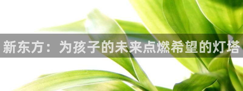 cq9电子 BG电子 PNG电子