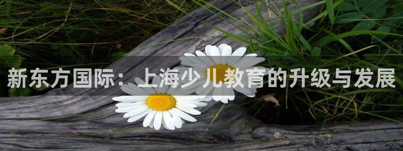 pp电子cq9电子