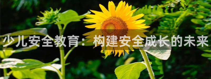 cq9电子怎么走