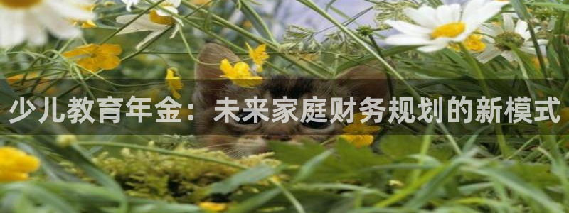 CQ9电子反水2.0