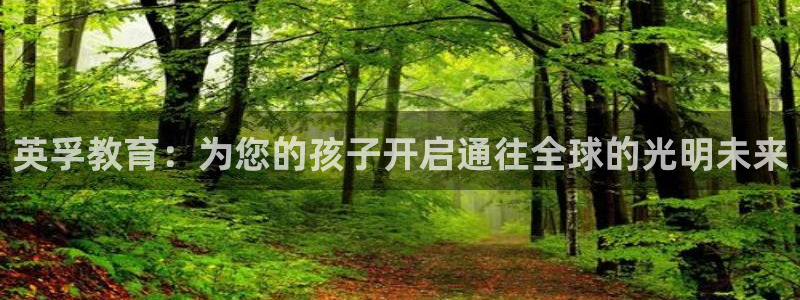 cq9电子接入
