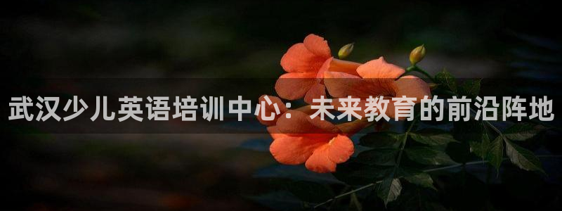 CQ9传奇电子官方接口