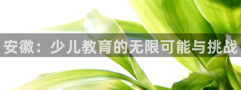 cq9电子辅助功能