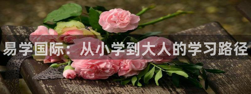 cq9电子在线官网