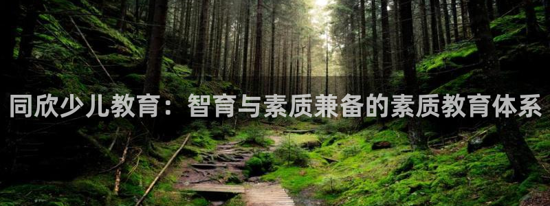 cq9电子技巧心得