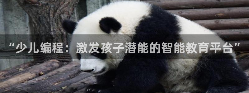 传奇电子cq9官网地址