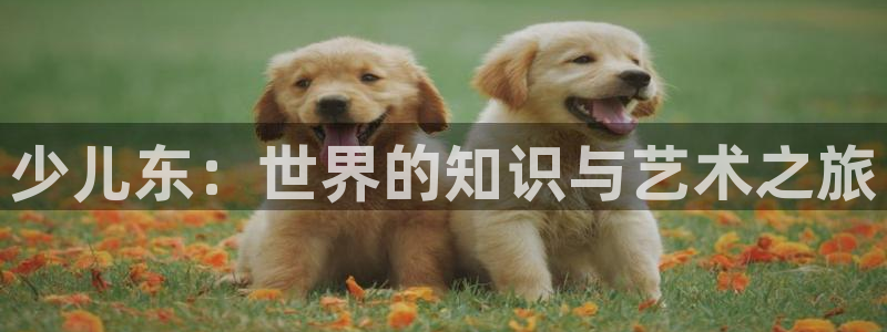 cq9电子传奇官网