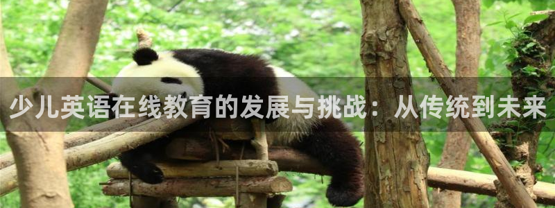 cq9电子价格打法