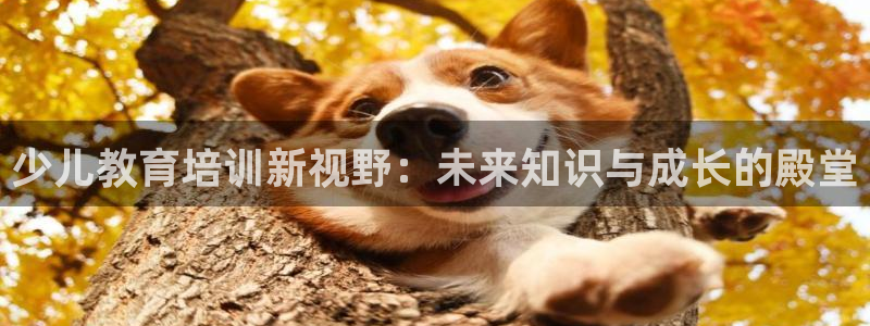 调用cq9电子失败