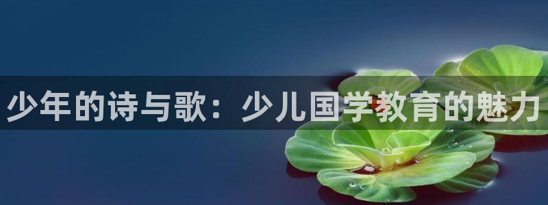 cq9电子梦游仙境