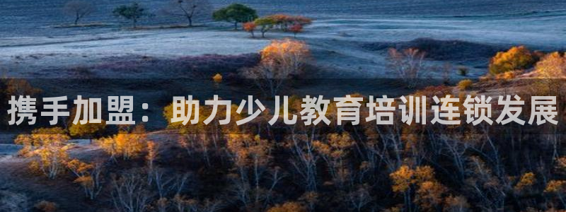 传祺电子cq9怎么使用