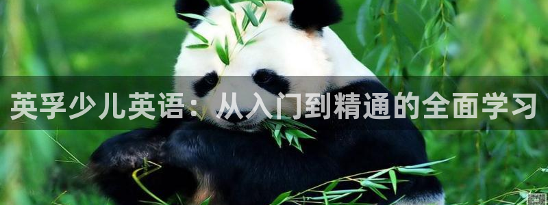 传奇电子cq9浴火重生